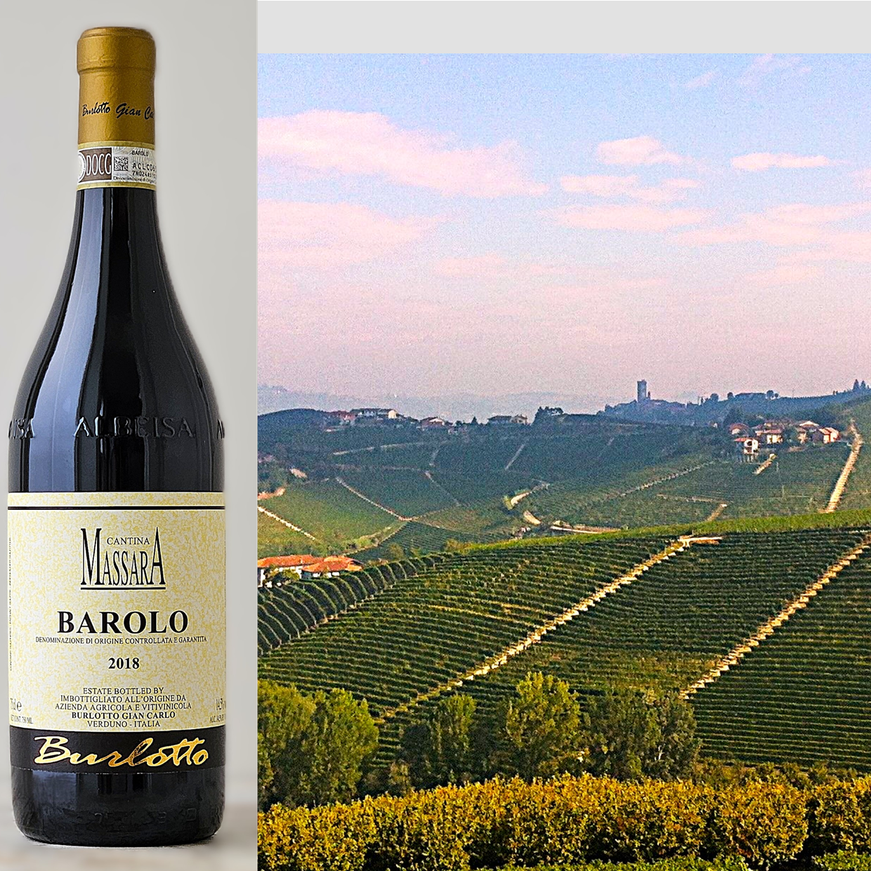 Wijnproeverij Langhe en Barolo